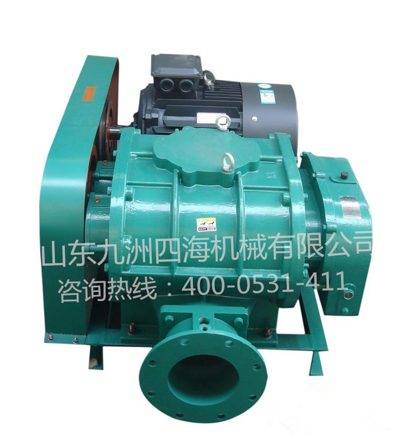 三葉羅茨風(fēng)機(jī)廠(chǎng)家：選型我們注意什么